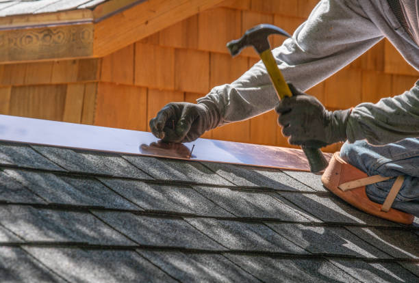 Professional Roofing service in Harlingen, TX