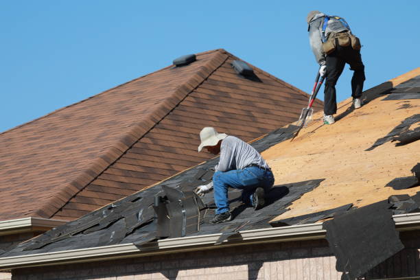 Best Metal Roofing Installation  in Harlingen, TX