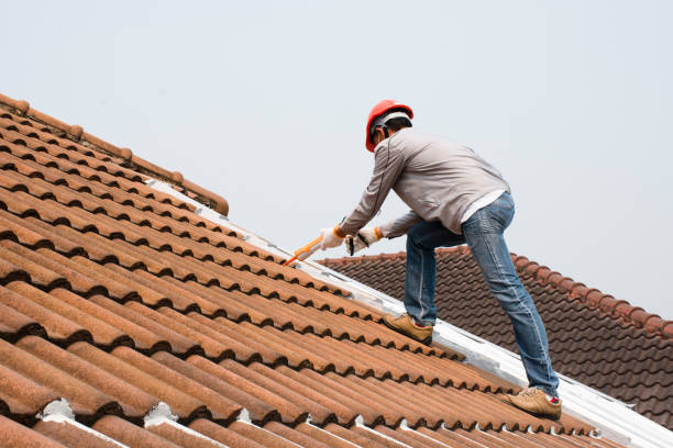 Roof Insulation Installation in Harlingen, TX