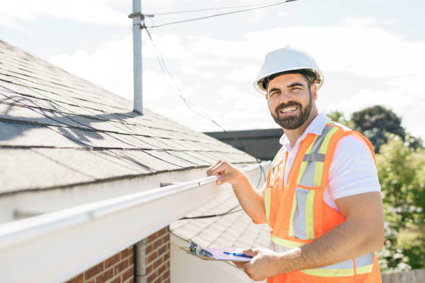 Best Roof Moss and Algae Removal  in Harlingen, TX